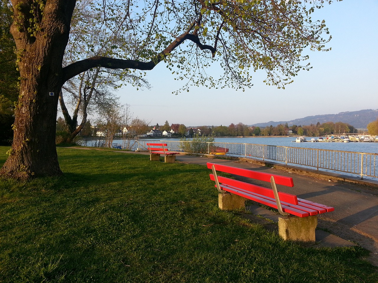 似被克莱 似被克莱