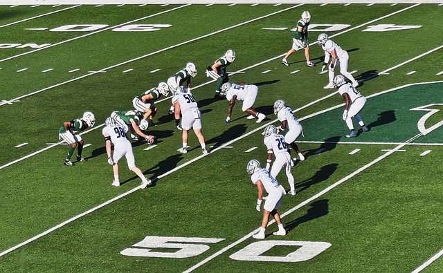 庭对宠物的 庭对宠物的