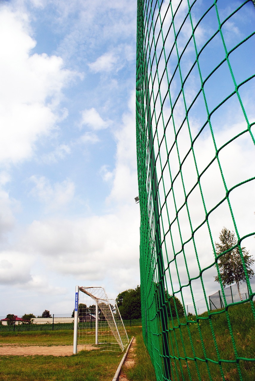 身体强度也 身体强度也