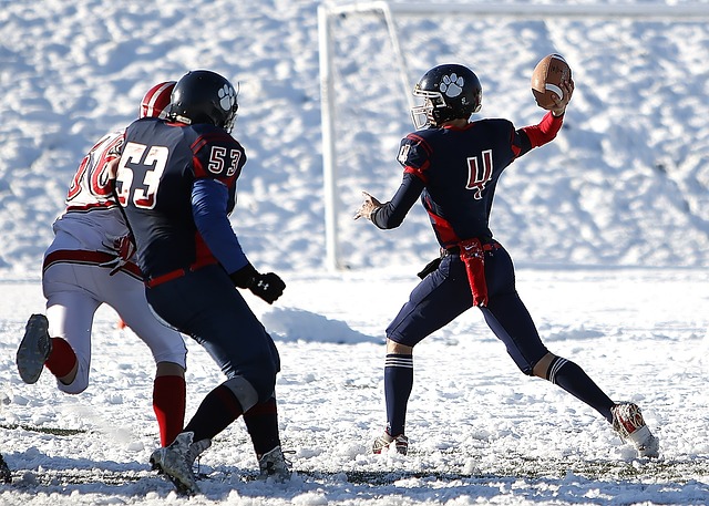 了一席之地 了一席之地