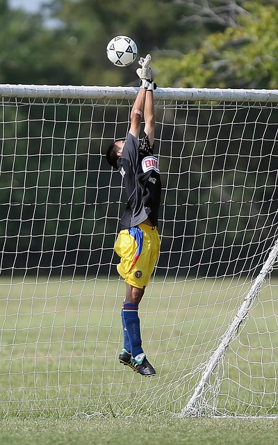 典型案例 典型案例