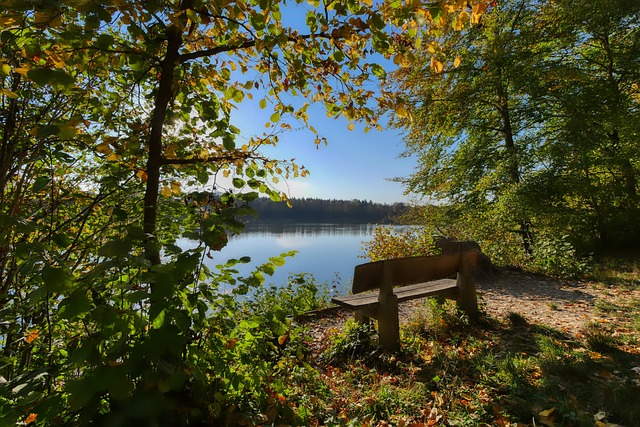 守和流畅的 守和流畅的