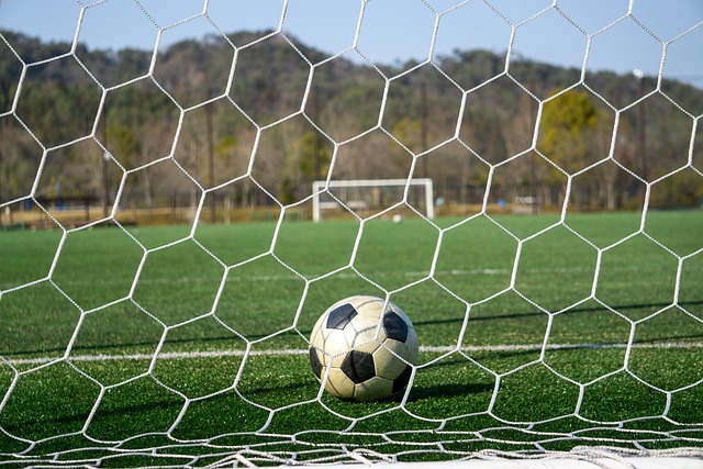 绿茵场上的 绿茵场上的